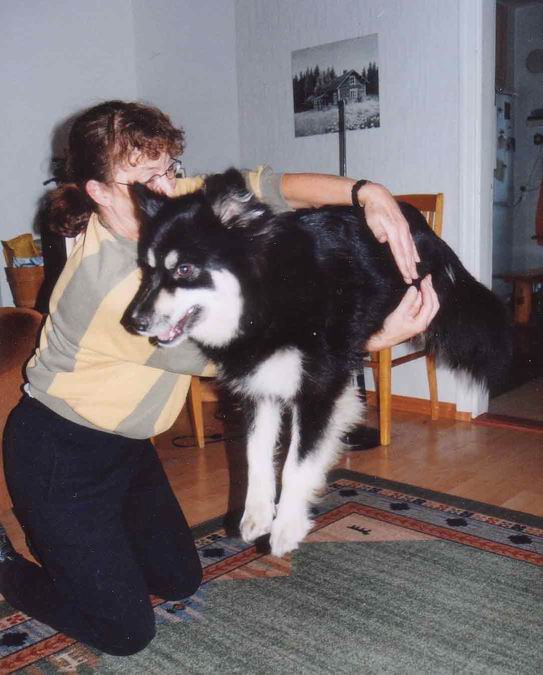 Tseiba hypp��, kuva Ilpo Niitti